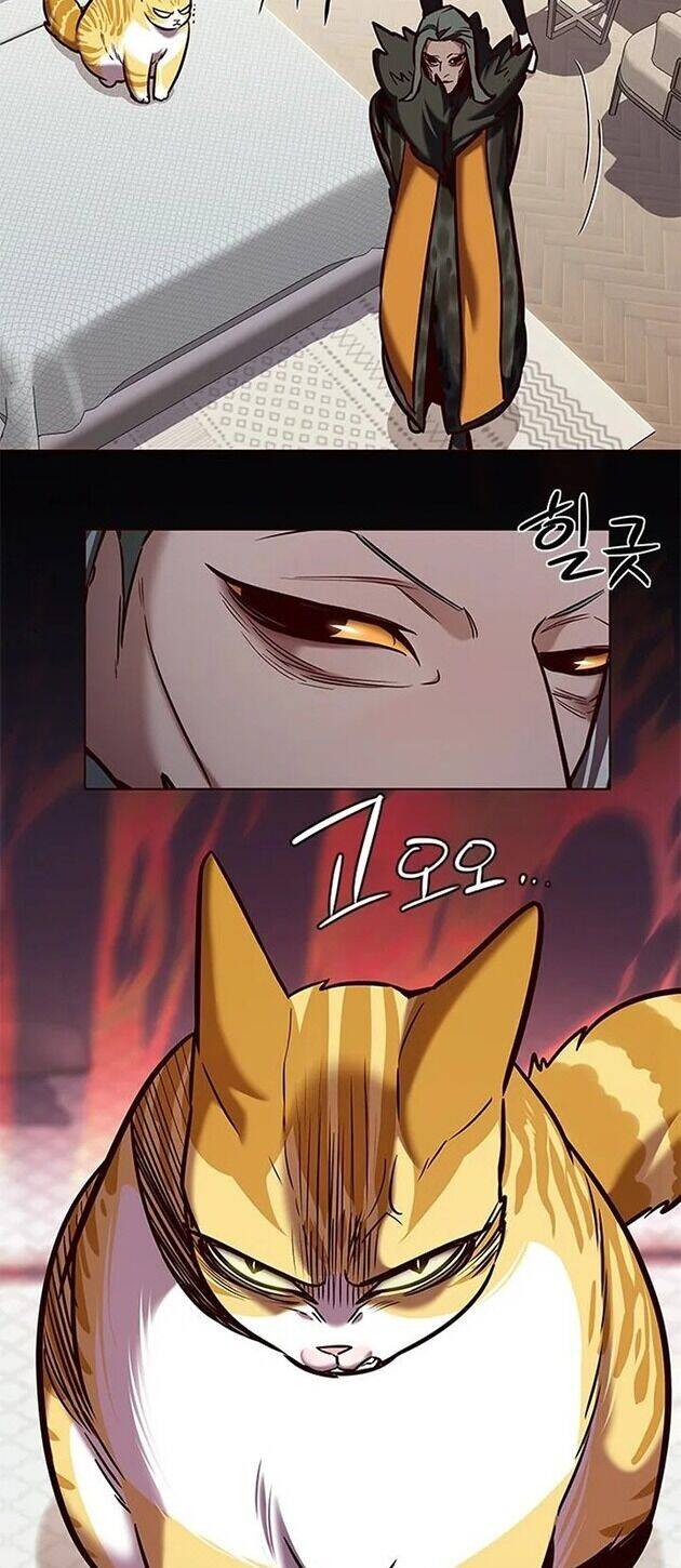 Hóa Thân Thành Mèo Chap 196 - Next Chap 197