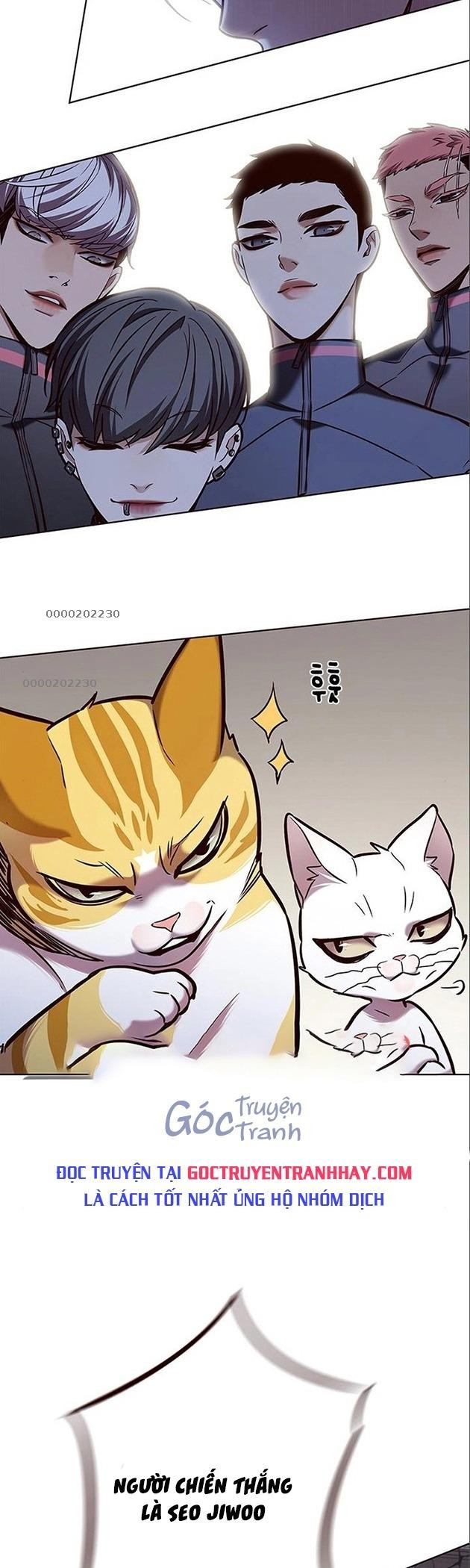 Hóa Thân Thành Mèo Chap 198 - Next Chap 199