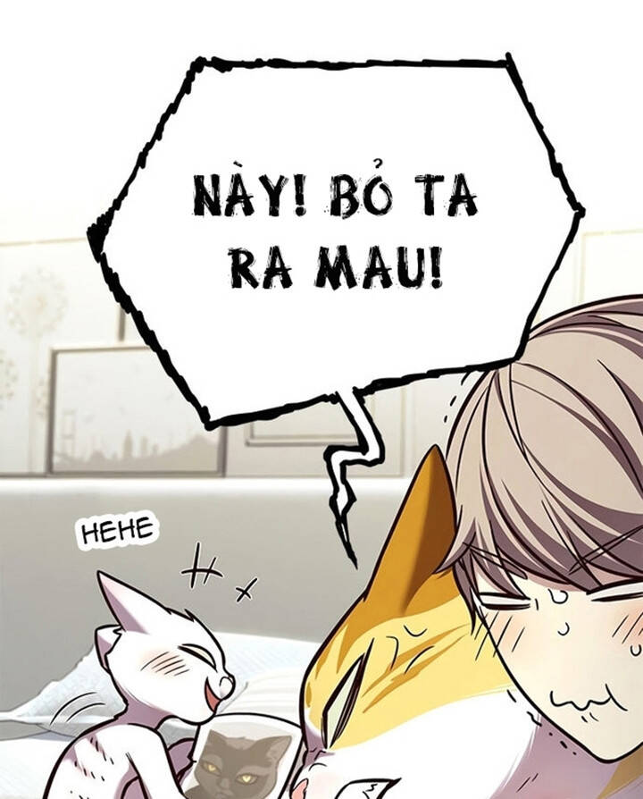 Hóa Thân Thành Mèo Chap 200 - Next Chap 201