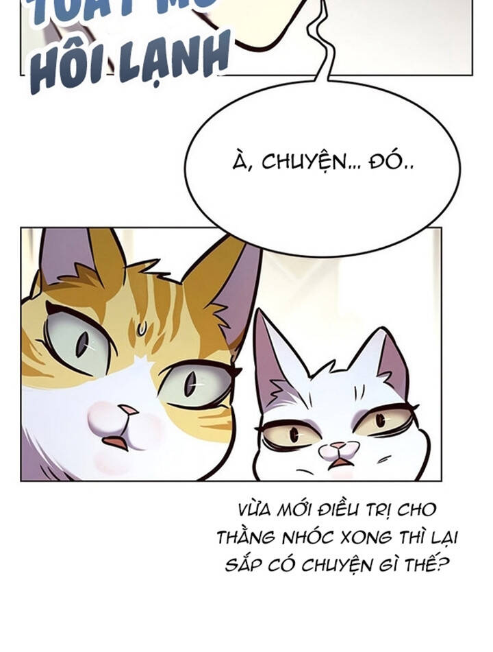 Hóa Thân Thành Mèo Chap 200 - Next Chap 201