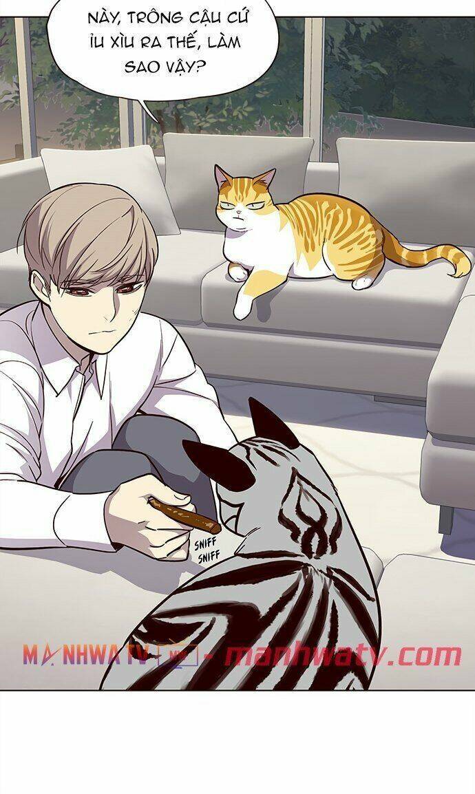 Hóa Thân Thành Mèo Chap 21 - Next Chap 22