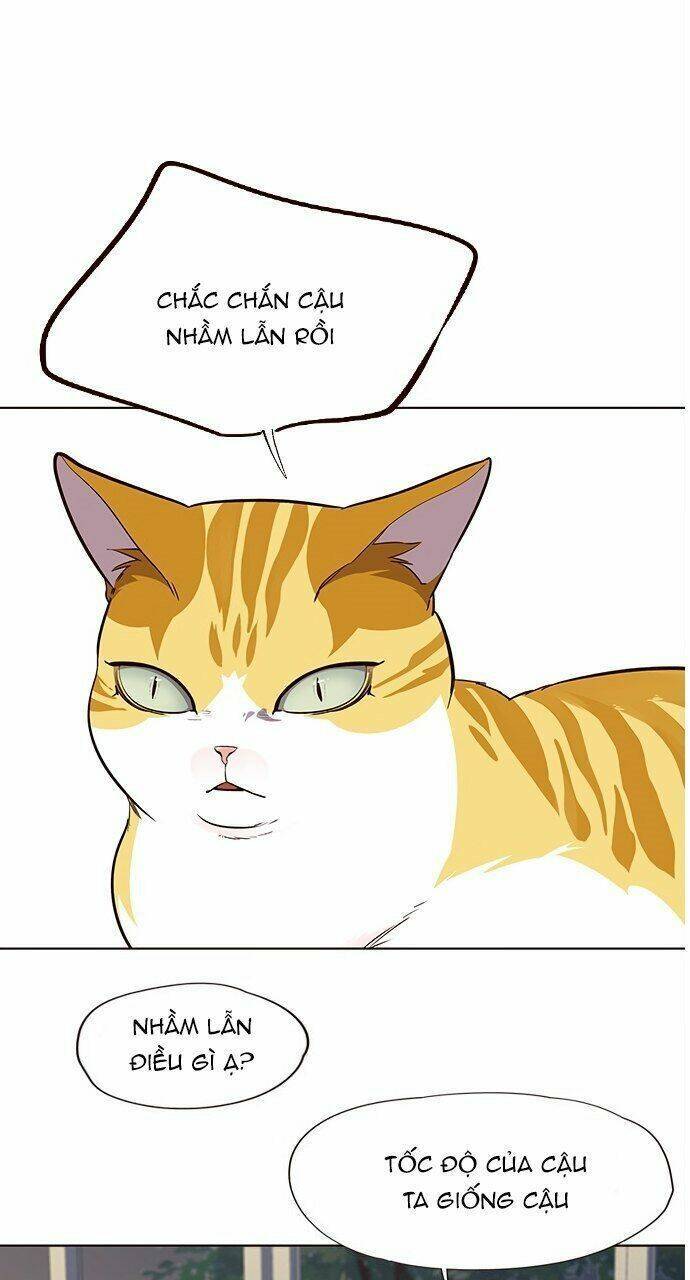 Hóa Thân Thành Mèo Chap 21 - Next Chap 22