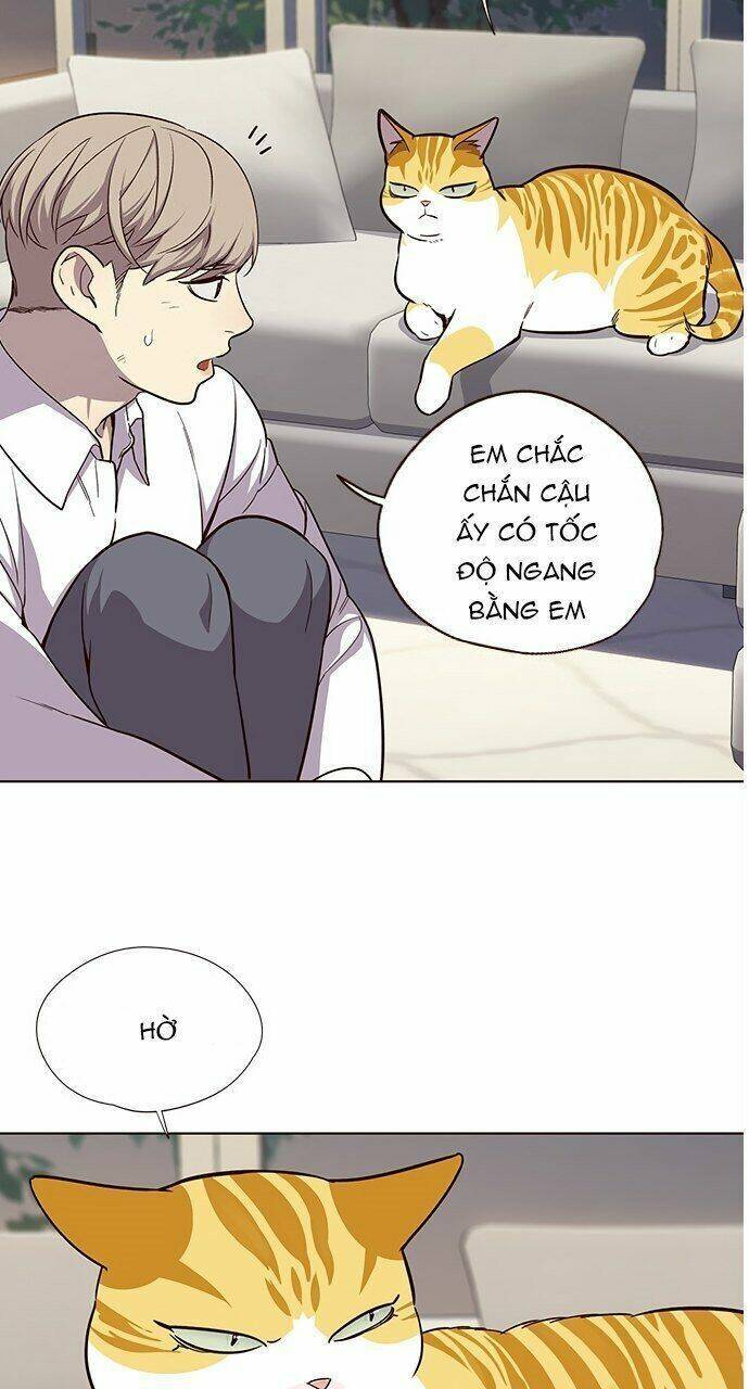 Hóa Thân Thành Mèo Chap 21 - Next Chap 22