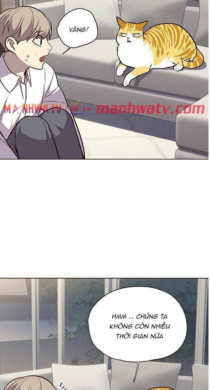 Hóa Thân Thành Mèo Chap 21 - Next Chap 22