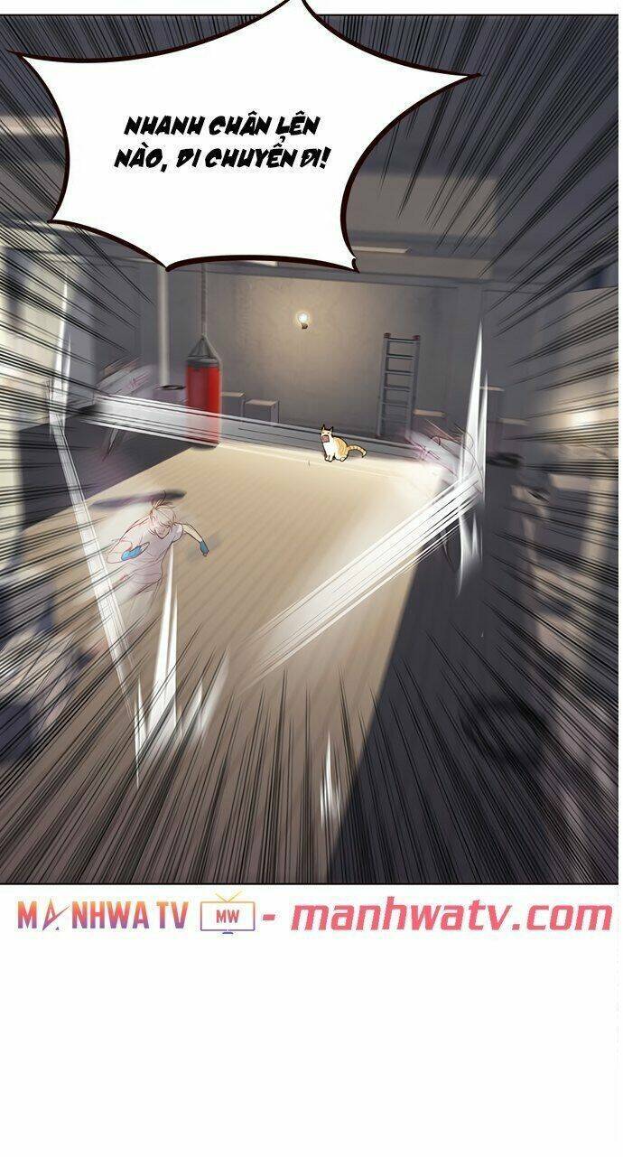 Hóa Thân Thành Mèo Chap 21 - Next Chap 22