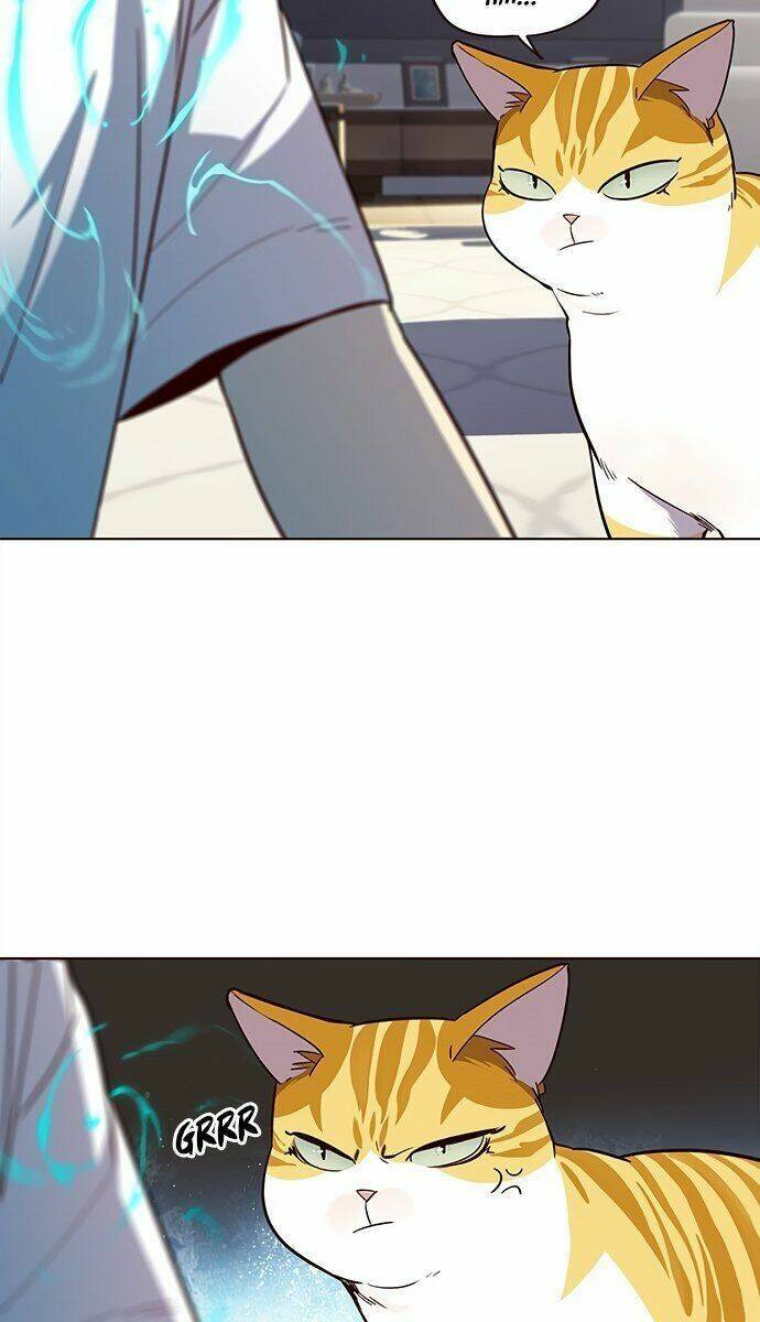 Hóa Thân Thành Mèo Chap 21 - Next Chap 22