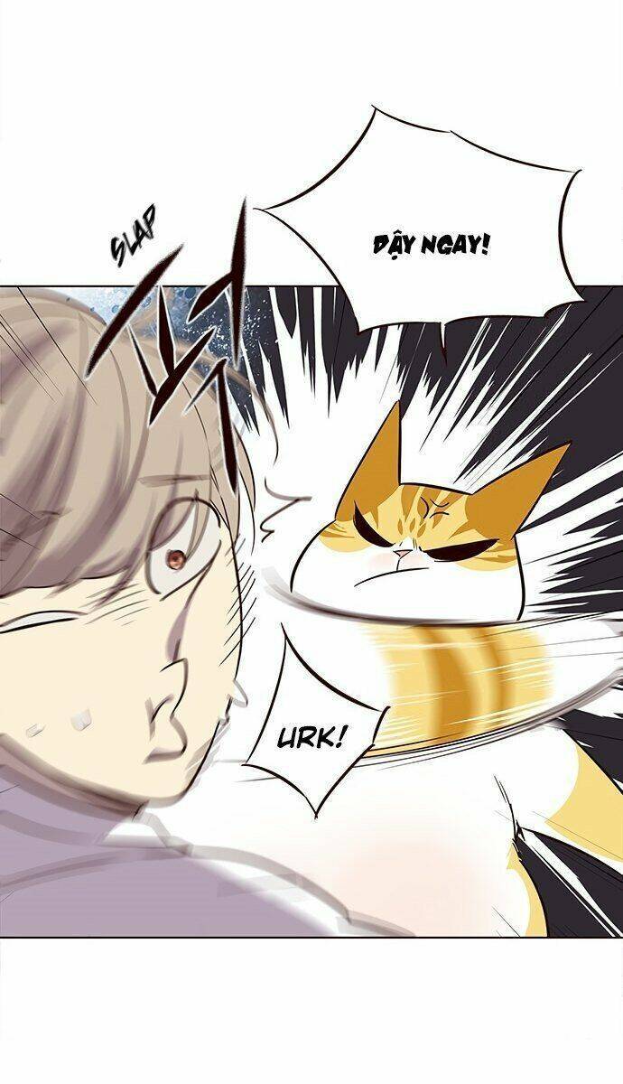 Hóa Thân Thành Mèo Chap 21 - Next Chap 22