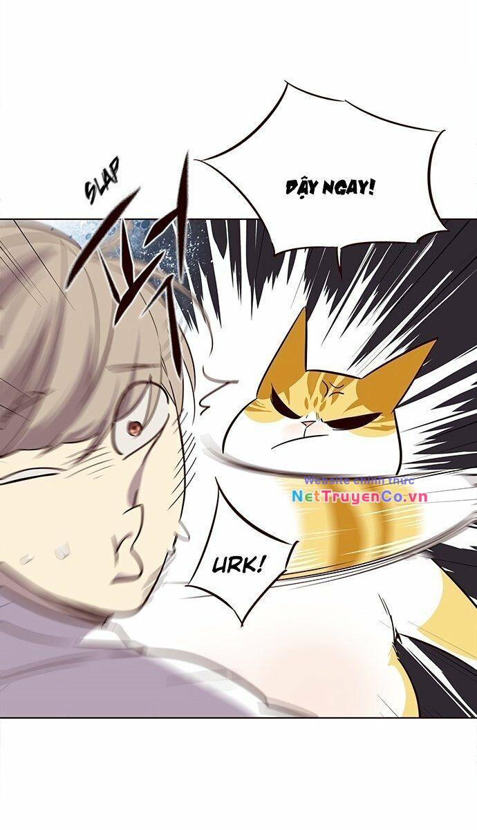 Hóa Thân Thành Mèo Chap 21 - Next Chap 22