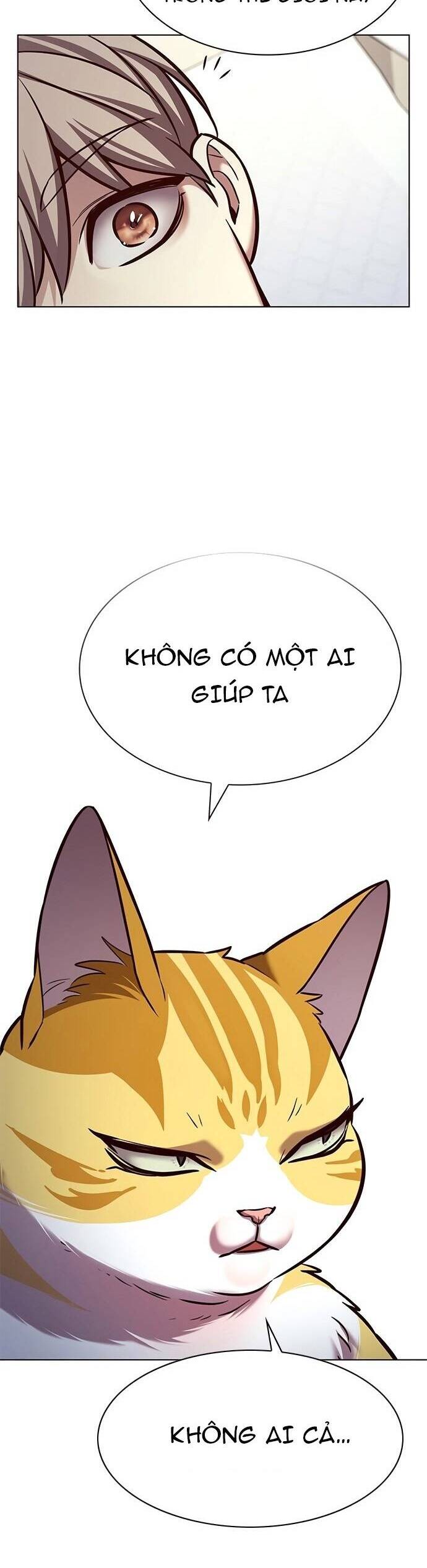 Hóa Thân Thành Mèo Chap 214 - Next Chap 215