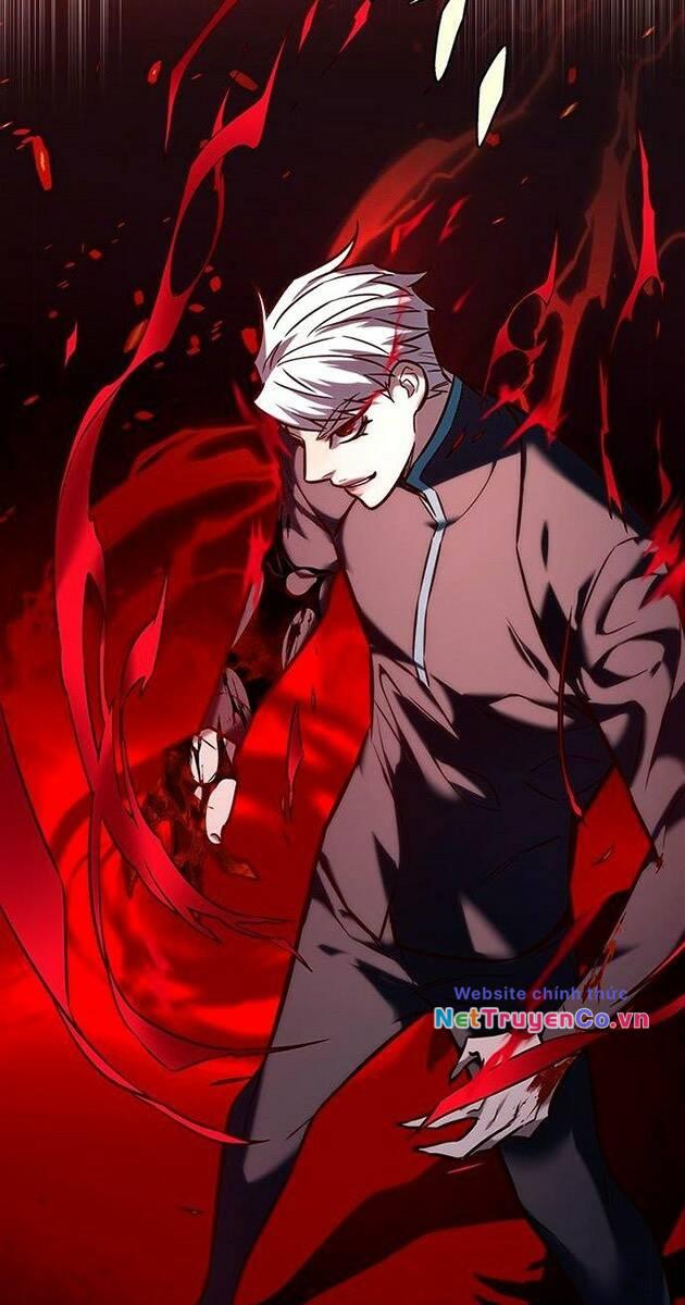 Hóa Thân Thành Mèo Chap 217 - Next Chap 218