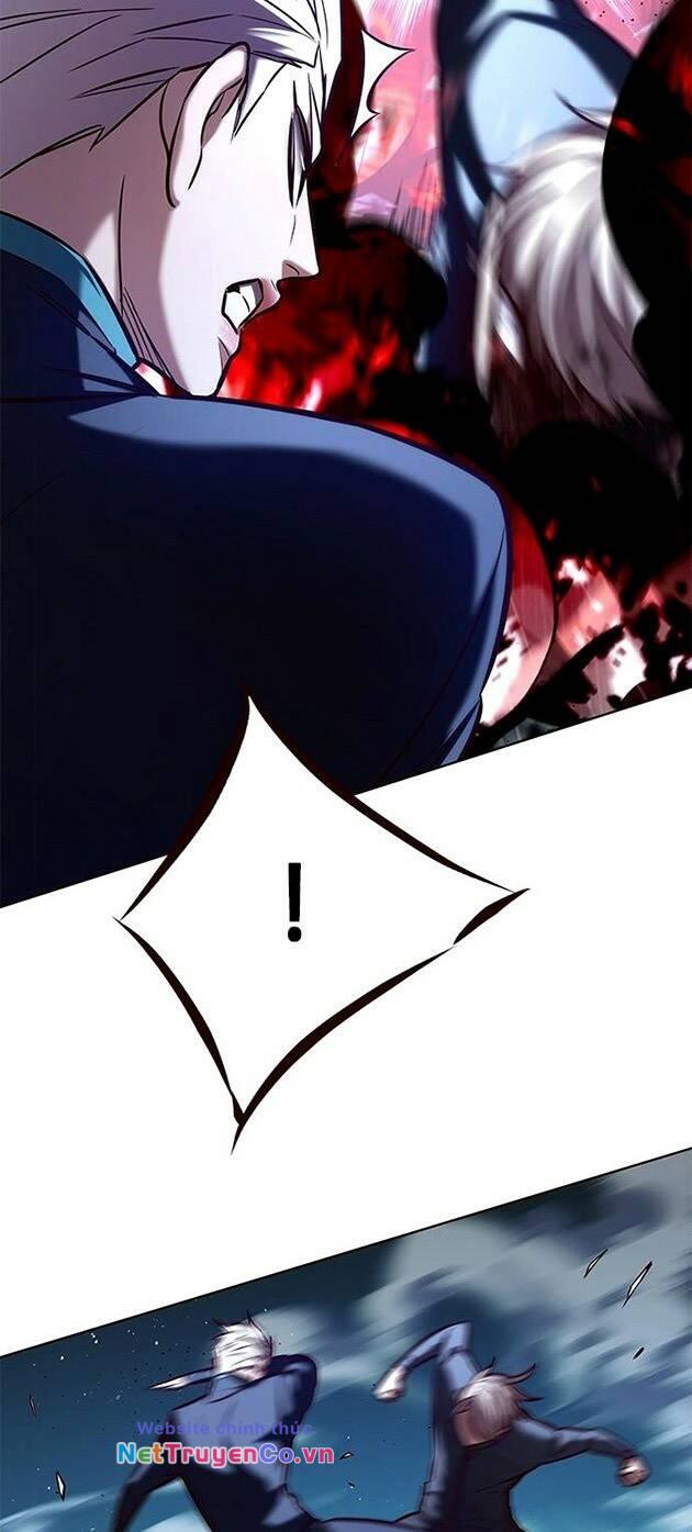 Hóa Thân Thành Mèo Chap 217 - Next Chap 218