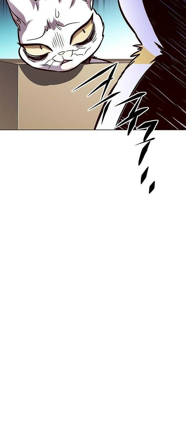 Hóa Thân Thành Mèo Chap 219 - Next Chap 220