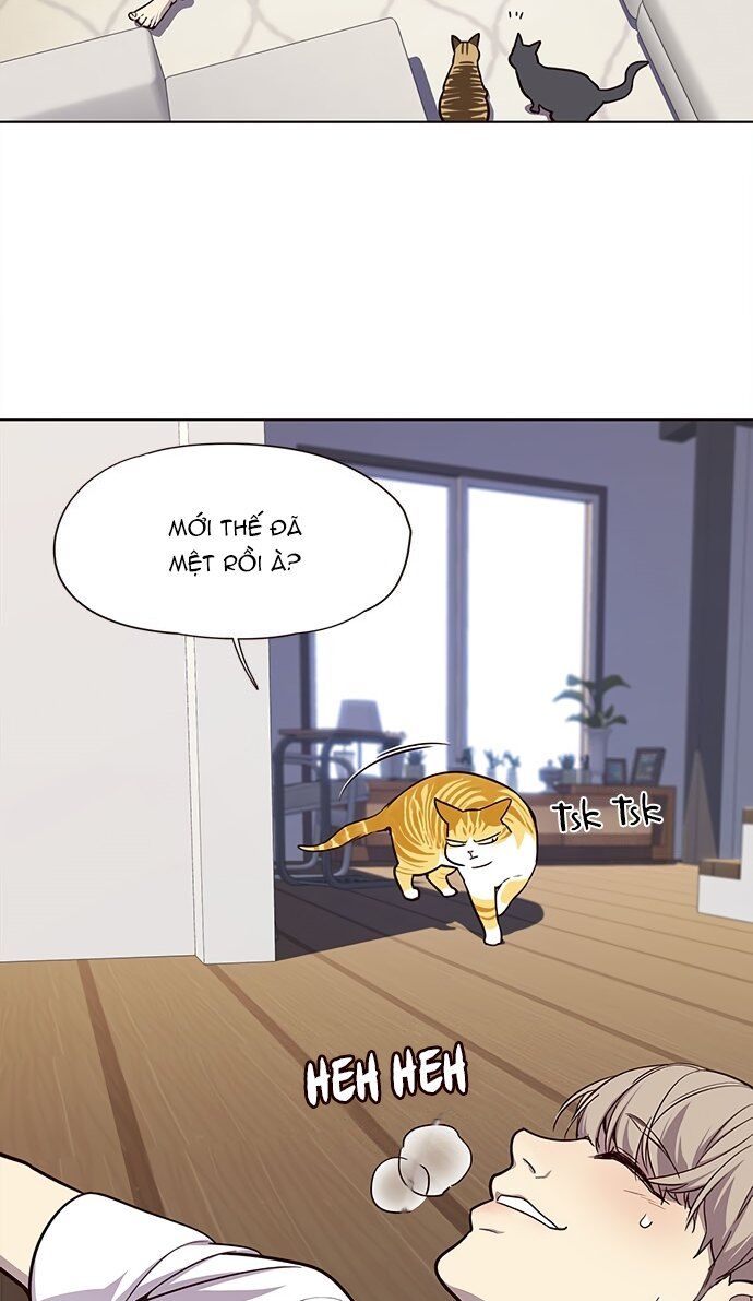 Hóa Thân Thành Mèo Chap 22 - Next Chap 23