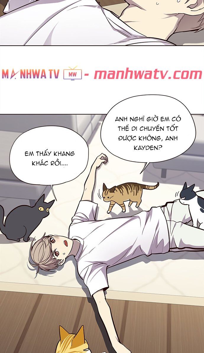 Hóa Thân Thành Mèo Chap 22 - Next Chap 23