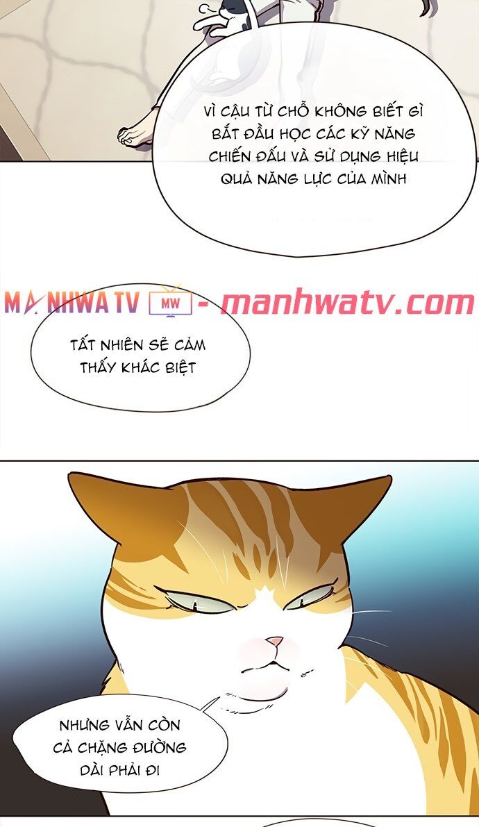 Hóa Thân Thành Mèo Chap 22 - Next Chap 23