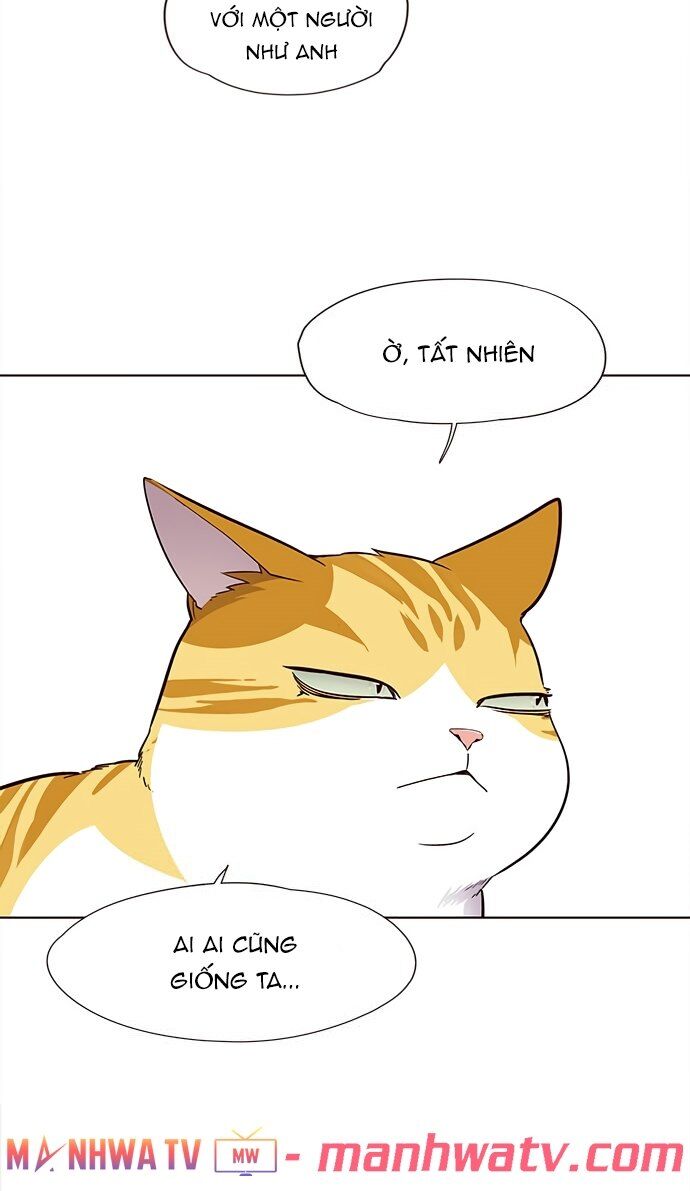 Hóa Thân Thành Mèo Chap 22 - Next Chap 23