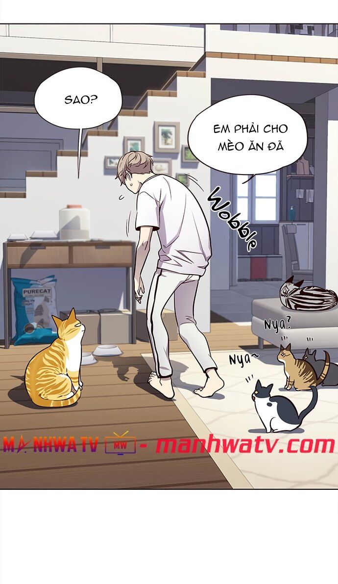 Hóa Thân Thành Mèo Chap 22 - Next Chap 23