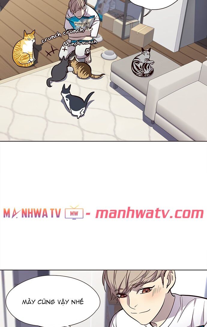 Hóa Thân Thành Mèo Chap 22 - Next Chap 23