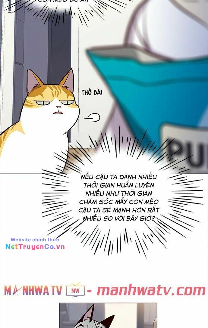 Hóa Thân Thành Mèo Chap 22 - Next Chap 23