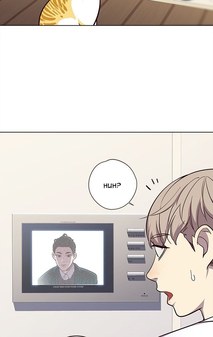 Hóa Thân Thành Mèo Chap 22 - Next Chap 23