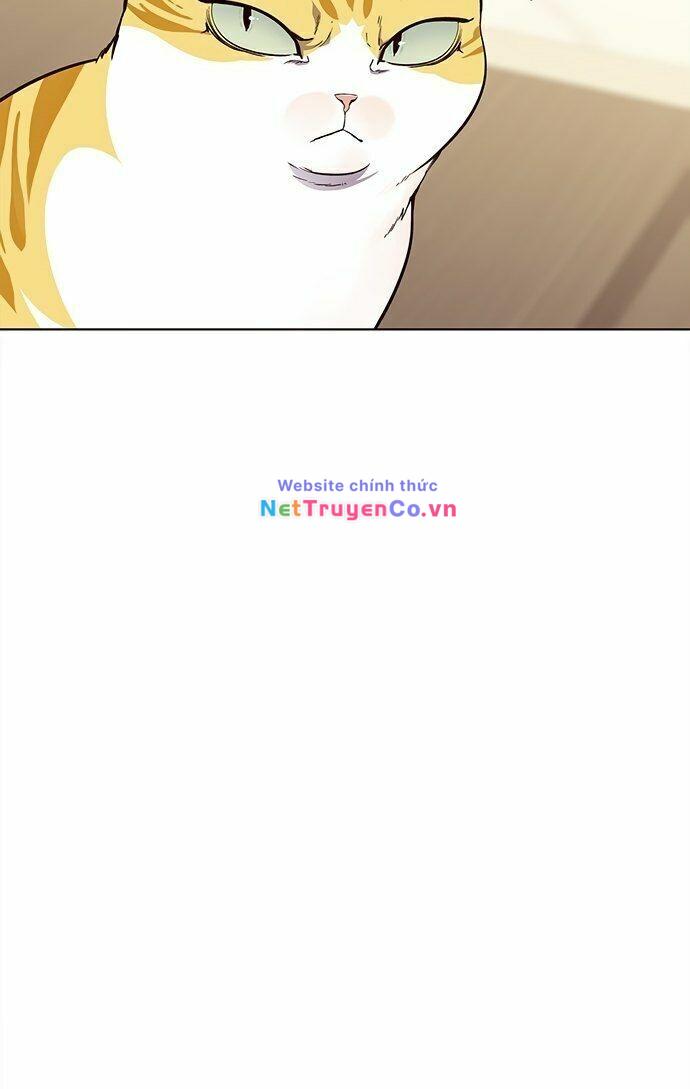 Hóa Thân Thành Mèo Chap 22 - Next Chap 23
