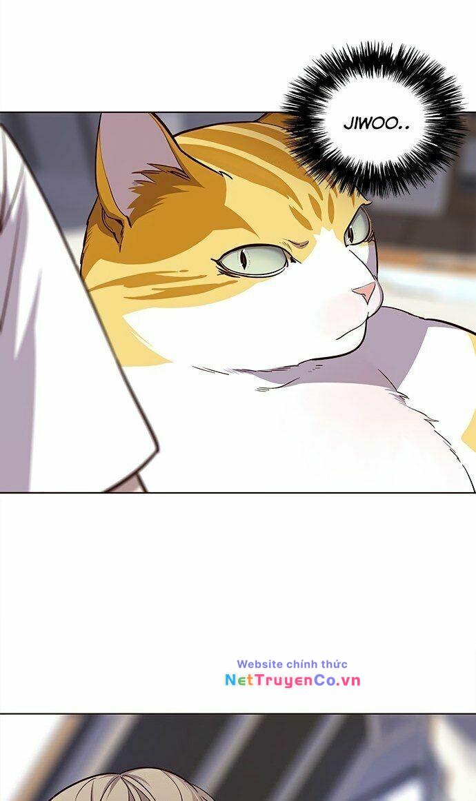 Hóa Thân Thành Mèo Chap 22 - Next Chap 23