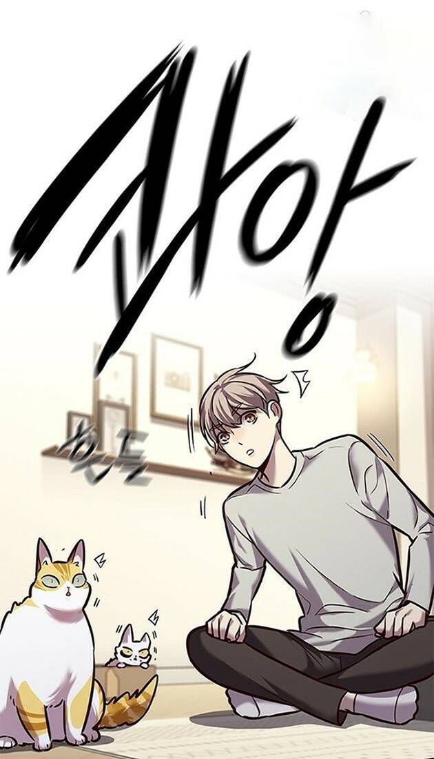 Hóa Thân Thành Mèo Chap 220 - Next Chap 221