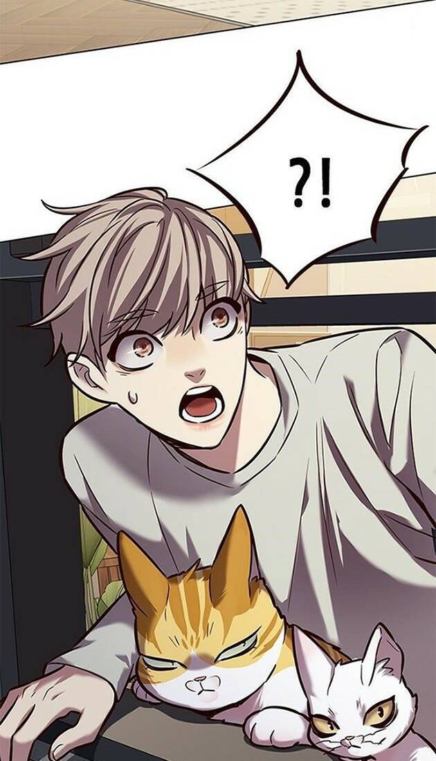 Hóa Thân Thành Mèo Chap 220 - Next Chap 221