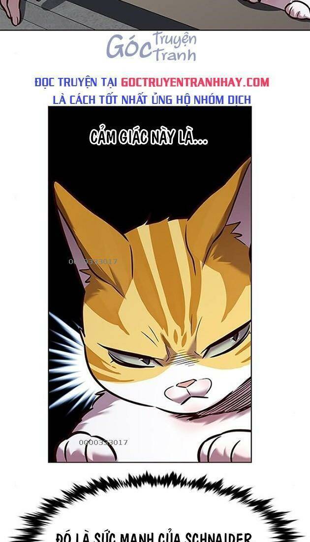 Hóa Thân Thành Mèo Chap 220 - Next Chap 221