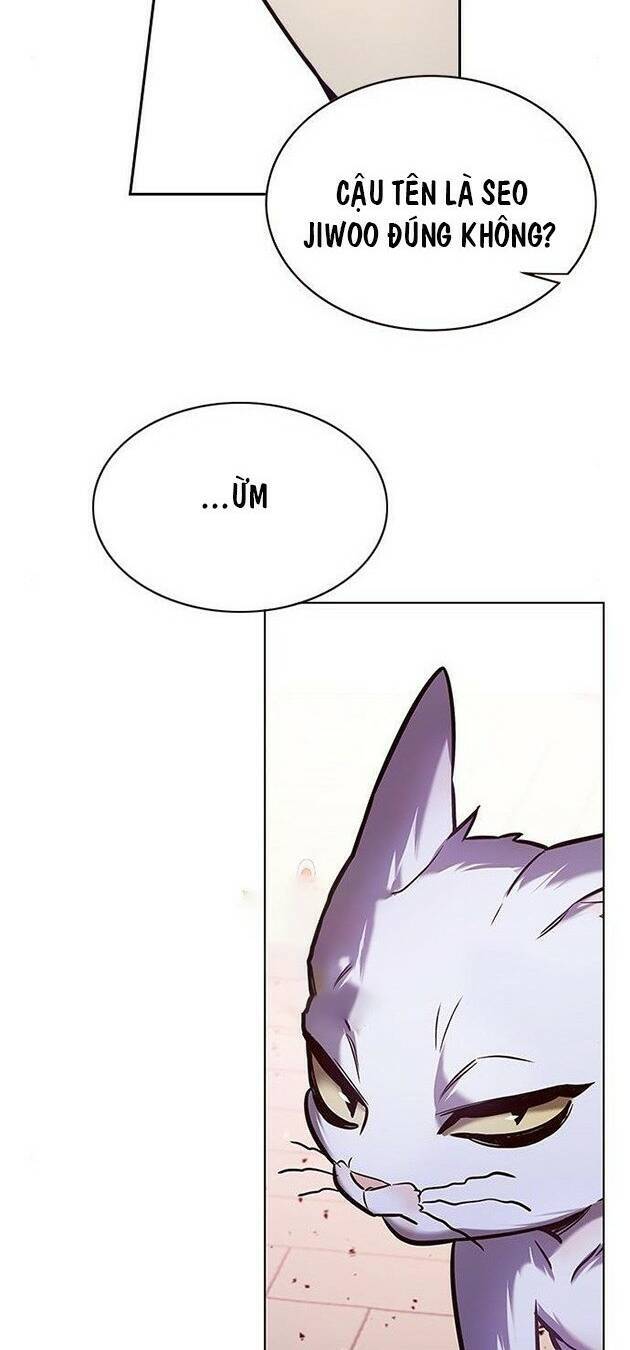 Hóa Thân Thành Mèo Chap 220 - Next Chap 221