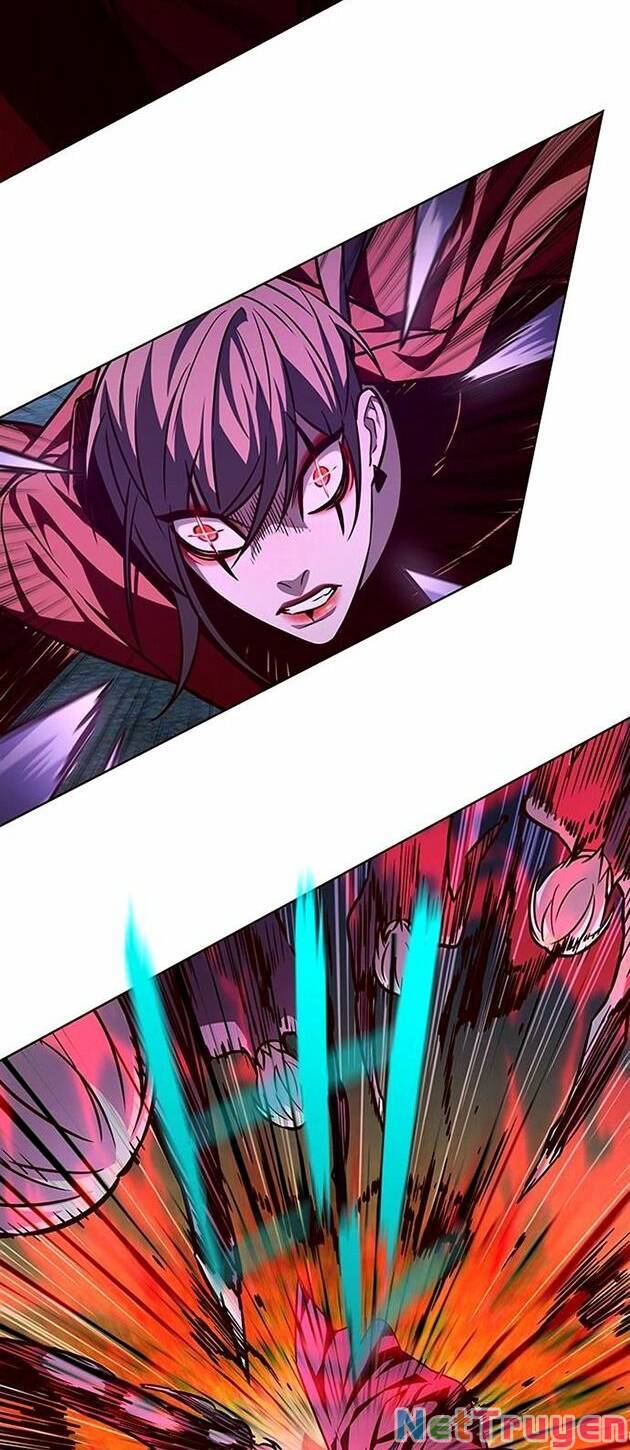 Hóa Thân Thành Mèo Chap 221 - Next Chap 222