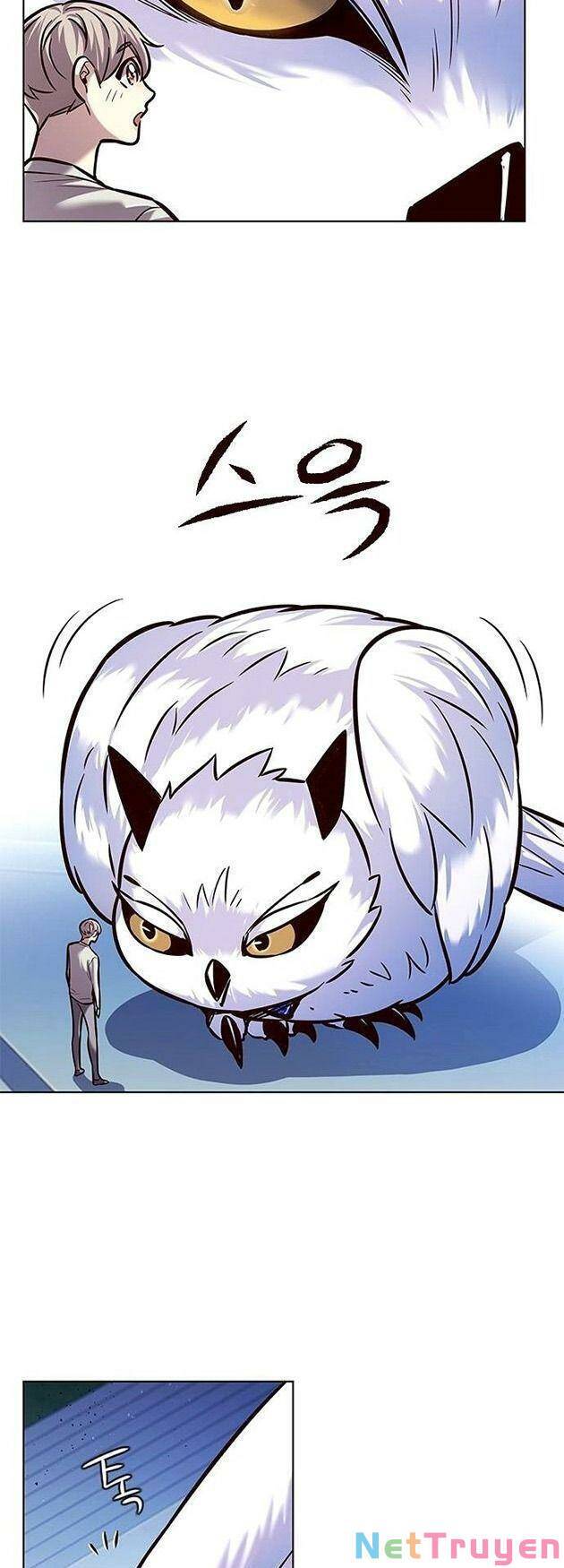 Hóa Thân Thành Mèo Chap 222 - Next Chap 223