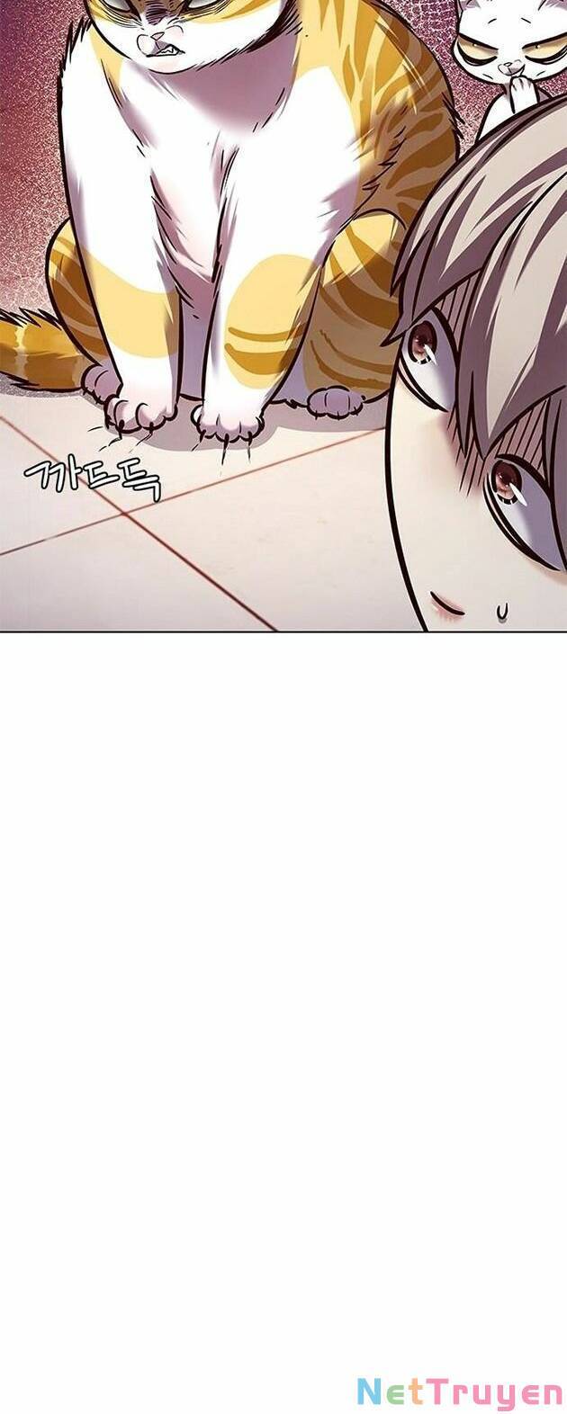 Hóa Thân Thành Mèo Chap 222 - Next Chap 223