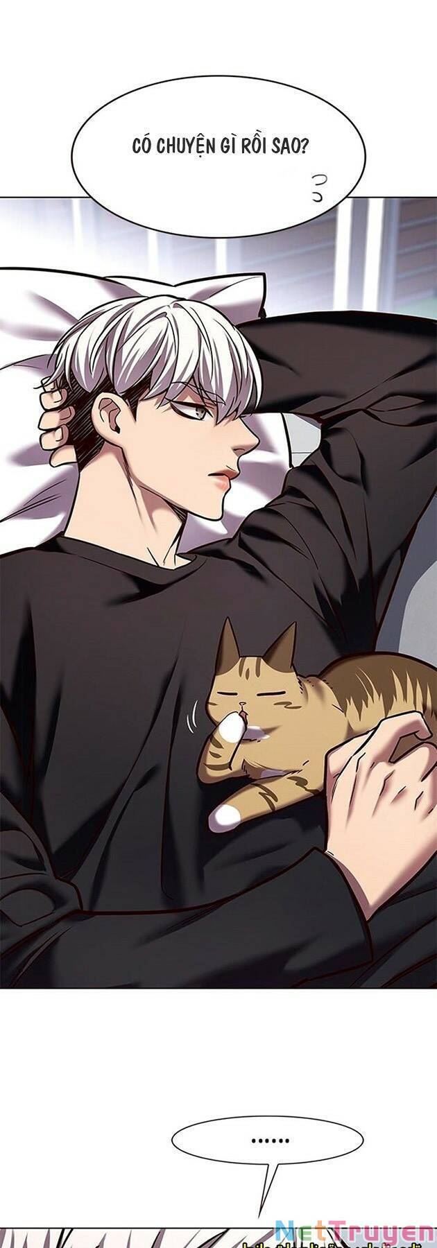 Hóa Thân Thành Mèo Chap 224 - Next Chap 225