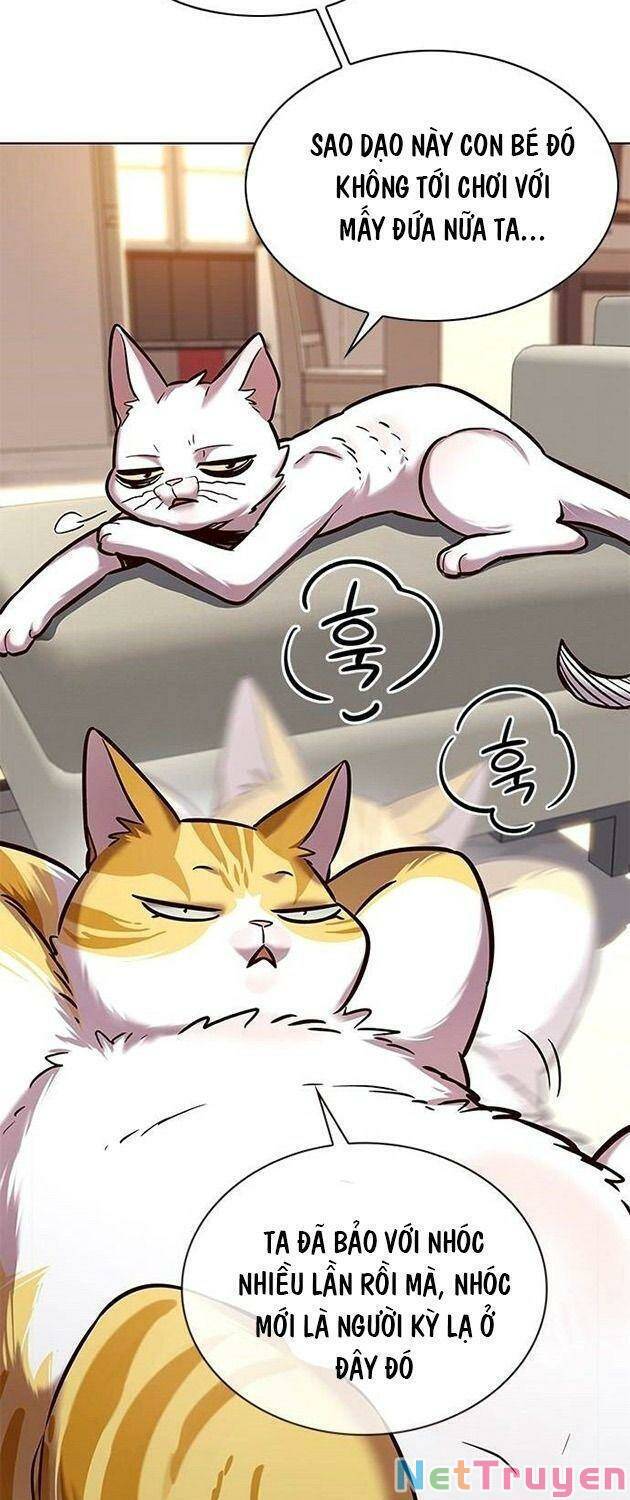 Hóa Thân Thành Mèo Chap 225 - Next Chap 226