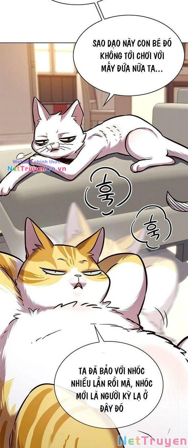 Hóa Thân Thành Mèo Chap 225 - Next Chap 226