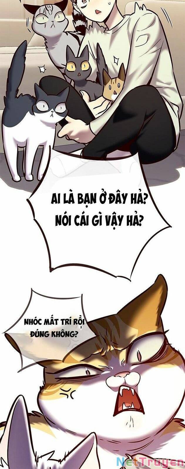 Hóa Thân Thành Mèo Chap 225 - Next Chap 226