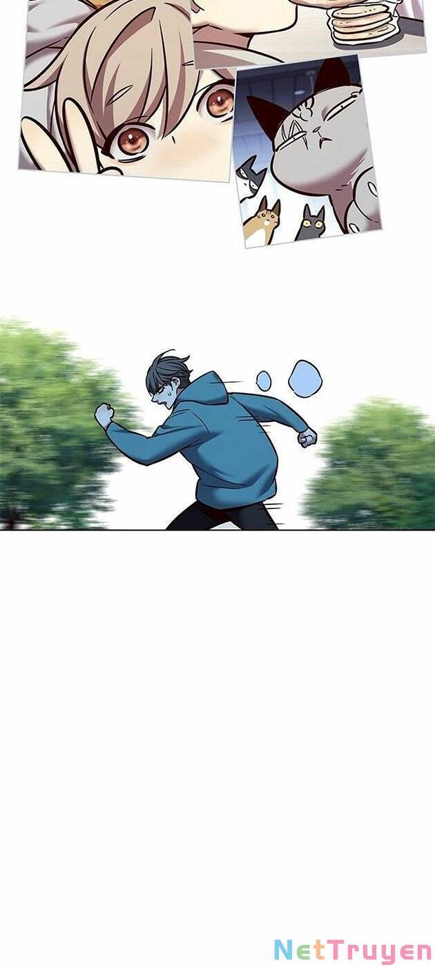 Hóa Thân Thành Mèo Chap 225 - Next Chap 226