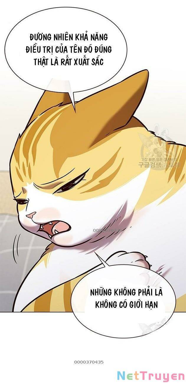 Hóa Thân Thành Mèo Chap 228 - Next Chap 229