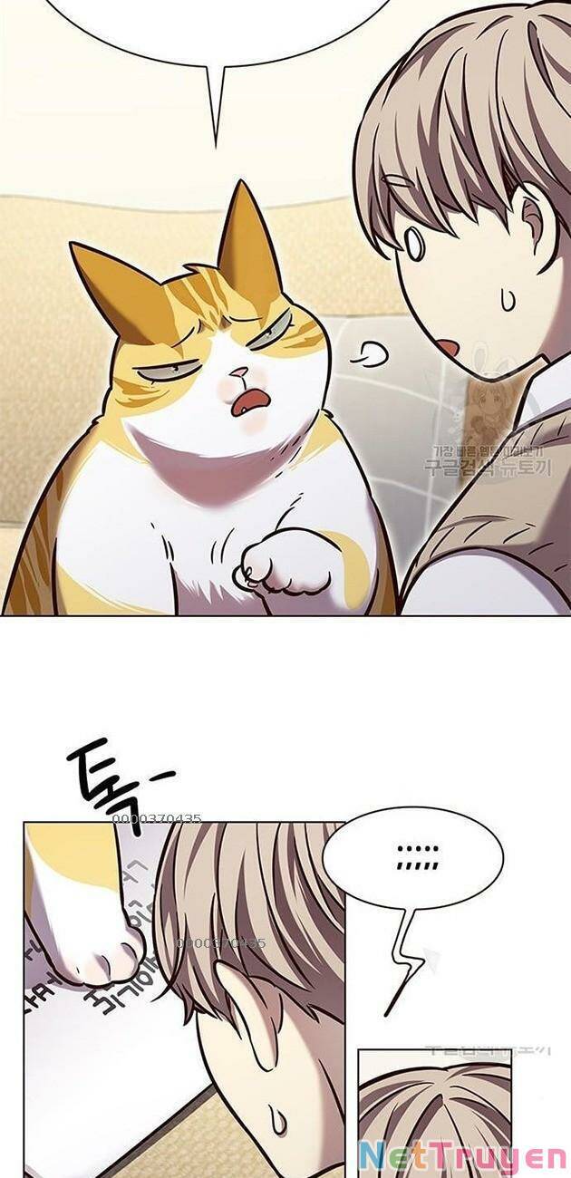 Hóa Thân Thành Mèo Chap 228 - Next Chap 229