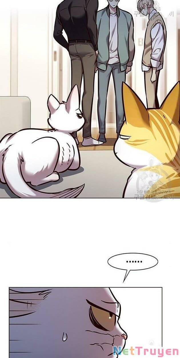 Hóa Thân Thành Mèo Chap 228 - Next Chap 229