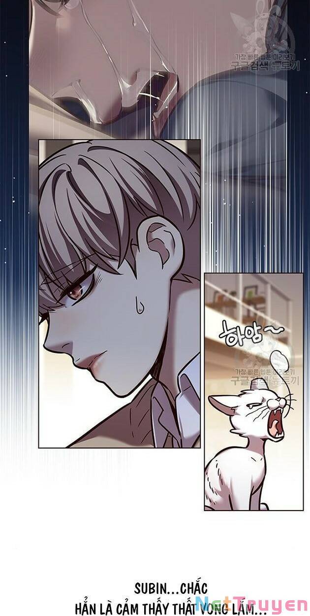 Hóa Thân Thành Mèo Chap 228 - Next Chap 229
