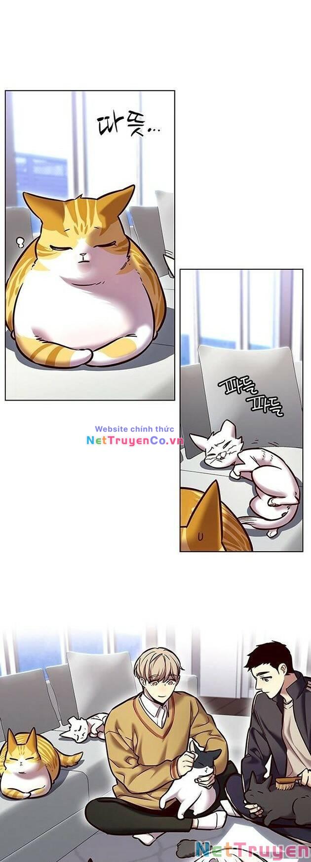 Hóa Thân Thành Mèo Chap 229 - Next Chap 230