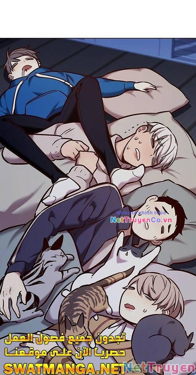 Hóa Thân Thành Mèo Chap 229 - Next Chap 230