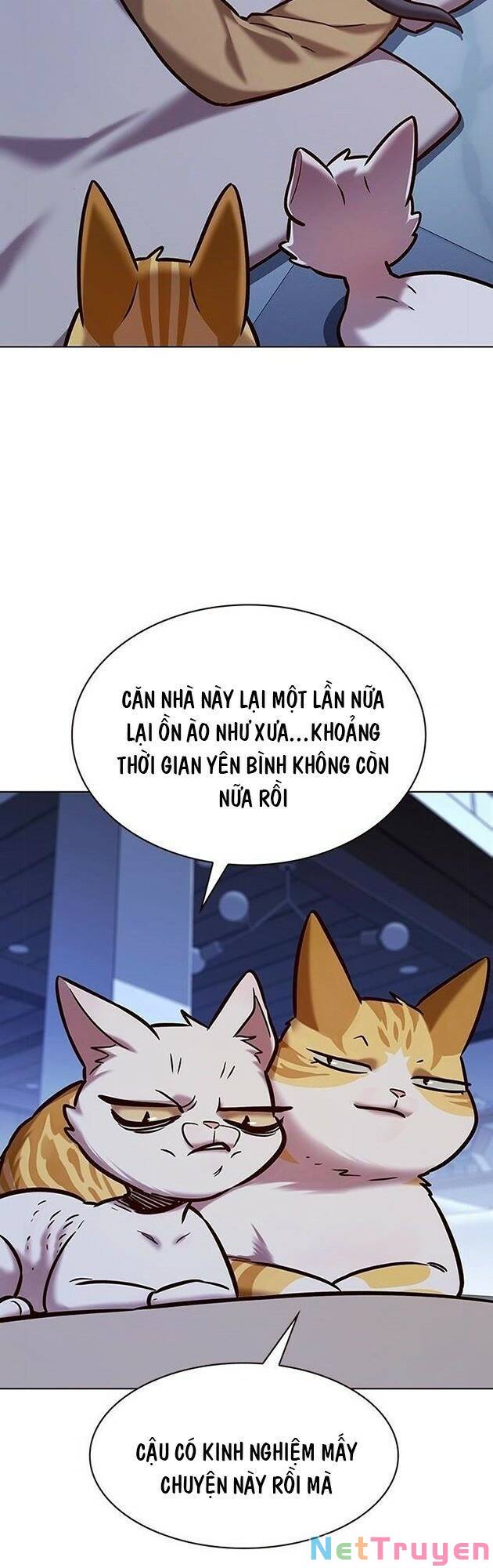 Hóa Thân Thành Mèo Chap 229 - Next Chap 230