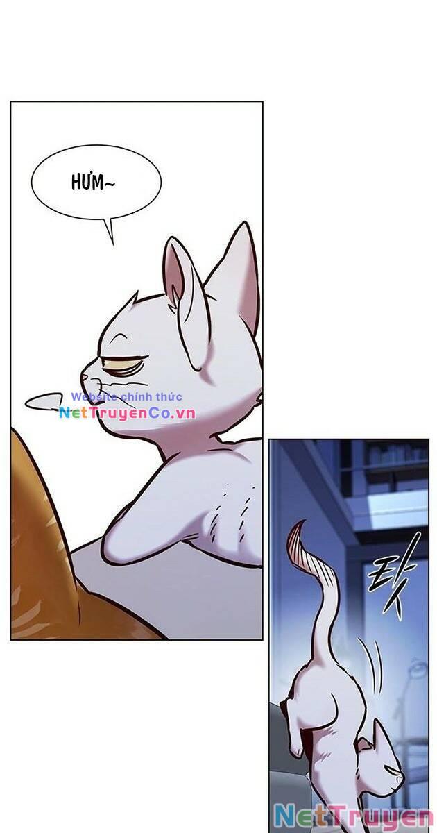 Hóa Thân Thành Mèo Chap 229 - Next Chap 230