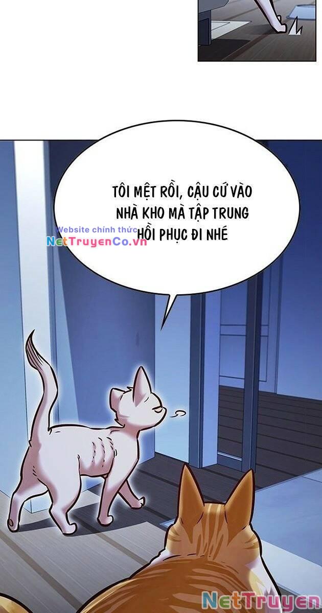 Hóa Thân Thành Mèo Chap 229 - Next Chap 230