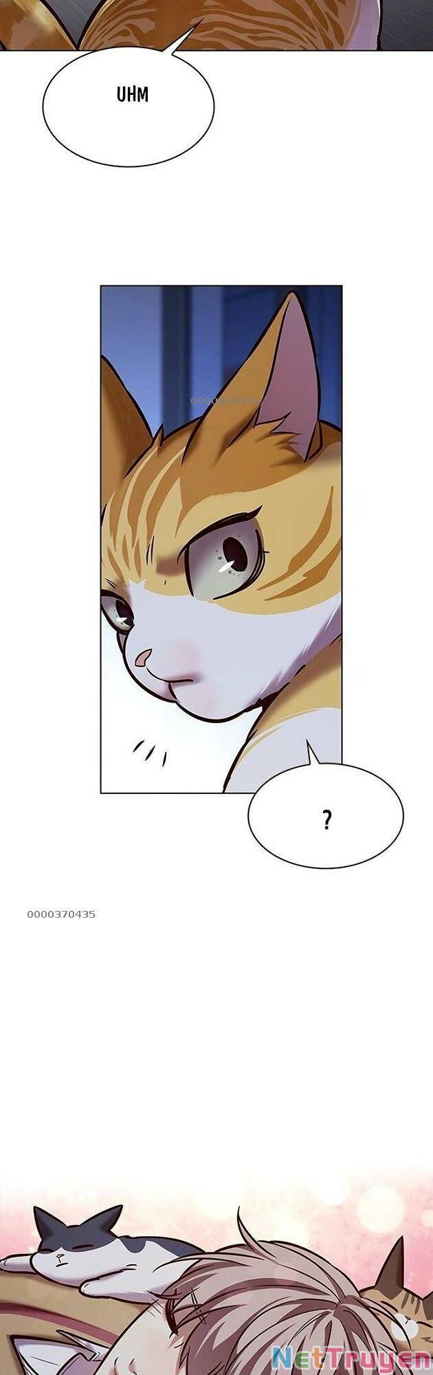 Hóa Thân Thành Mèo Chap 229 - Next Chap 230