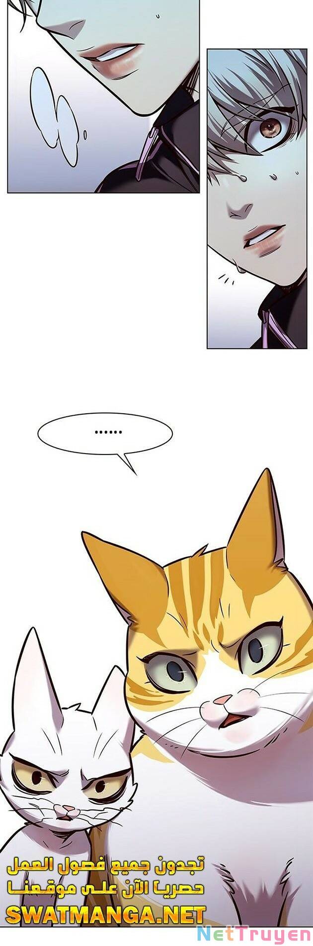 Hóa Thân Thành Mèo Chap 229 - Next Chap 230