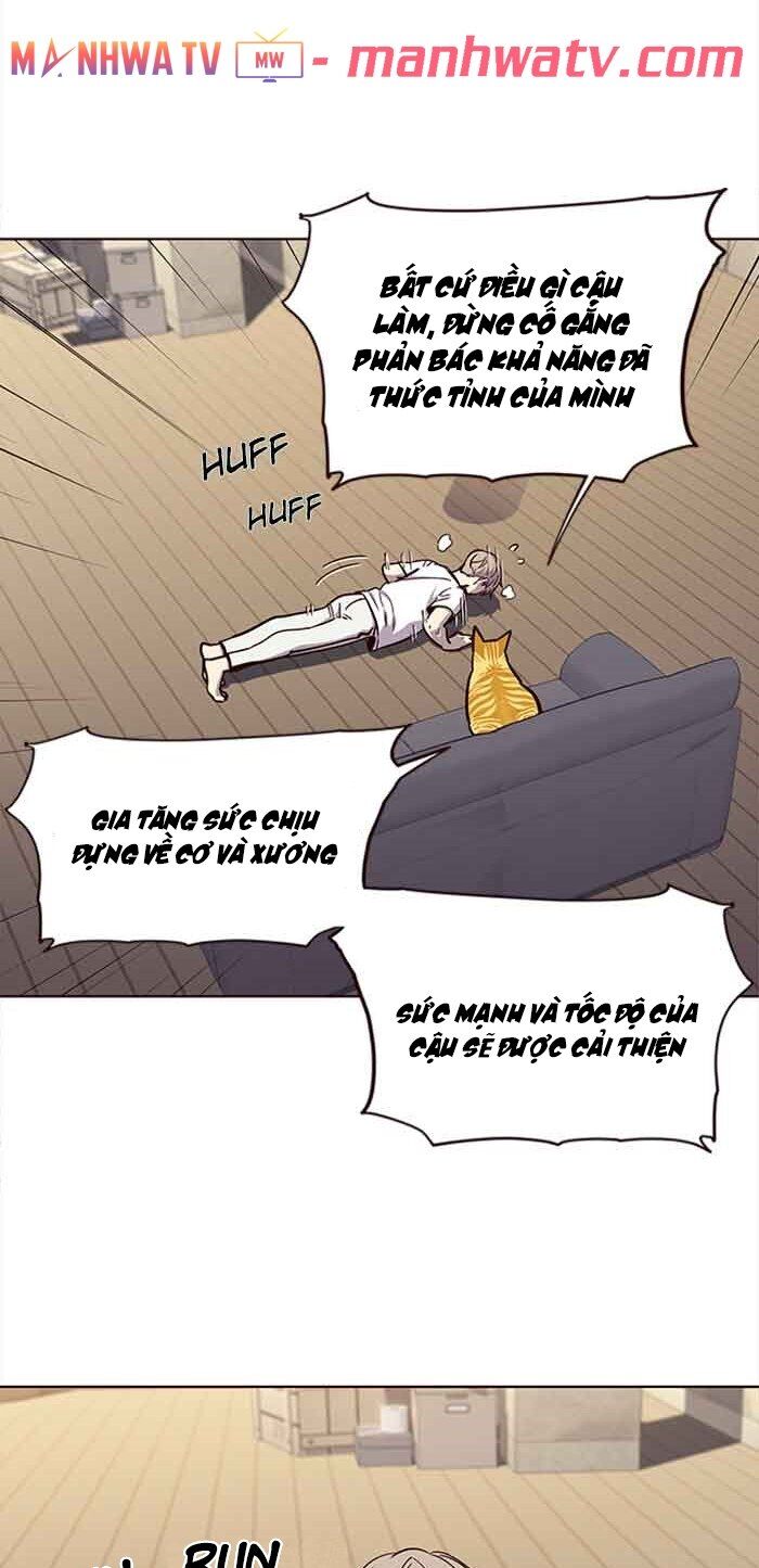 Hóa Thân Thành Mèo Chap 23 - Next Chap 24